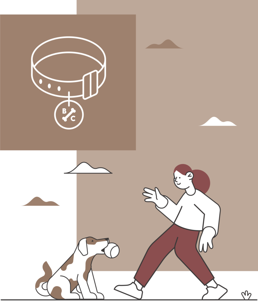 0850 TBC Website assets 3_HOMEPAGE SPLIT IMAGES